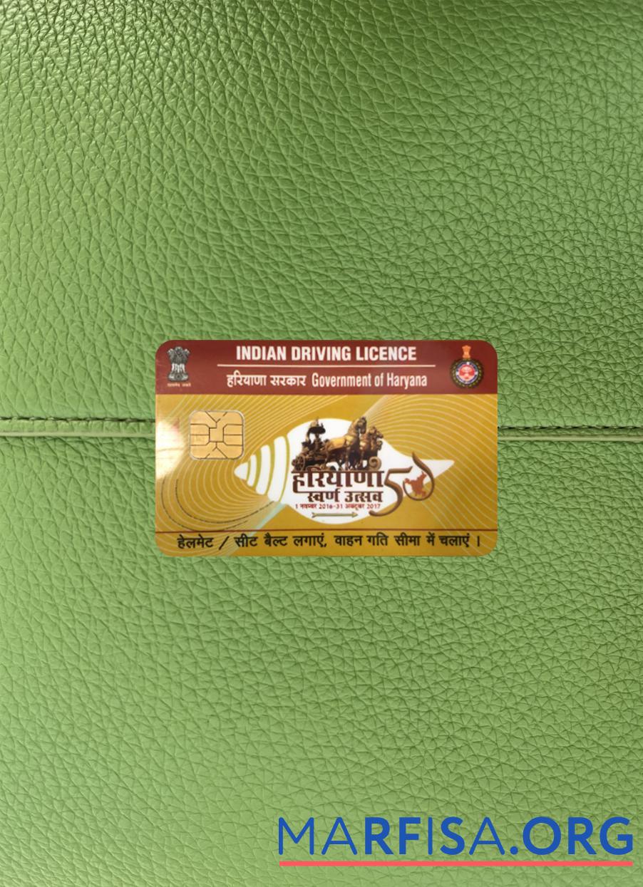 Downloadable India Haryana state driving license photolook download for verification